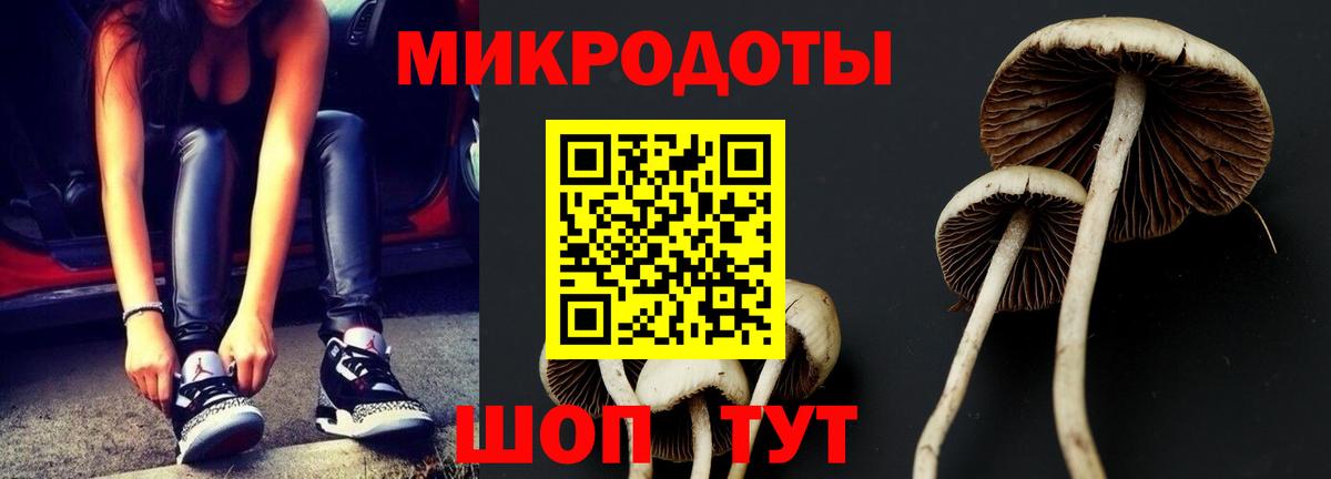 Курганинск  Псилоцибиновые грибы прущие грибы  Вход с VPN 